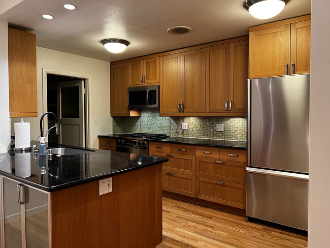 cook's kitchen with SS appliances - 3731 San Ysidro Way