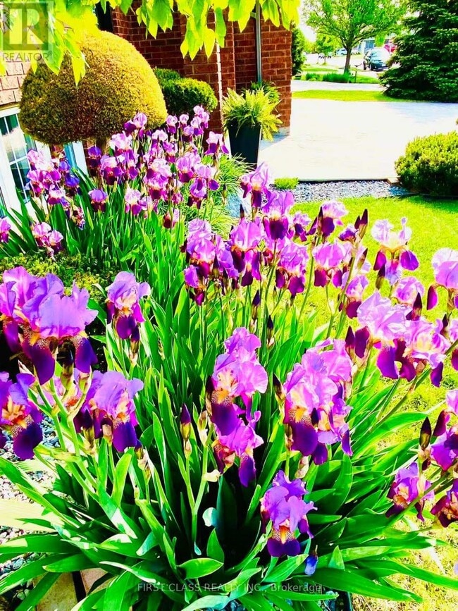 Building Photo - 2570 Skinner St