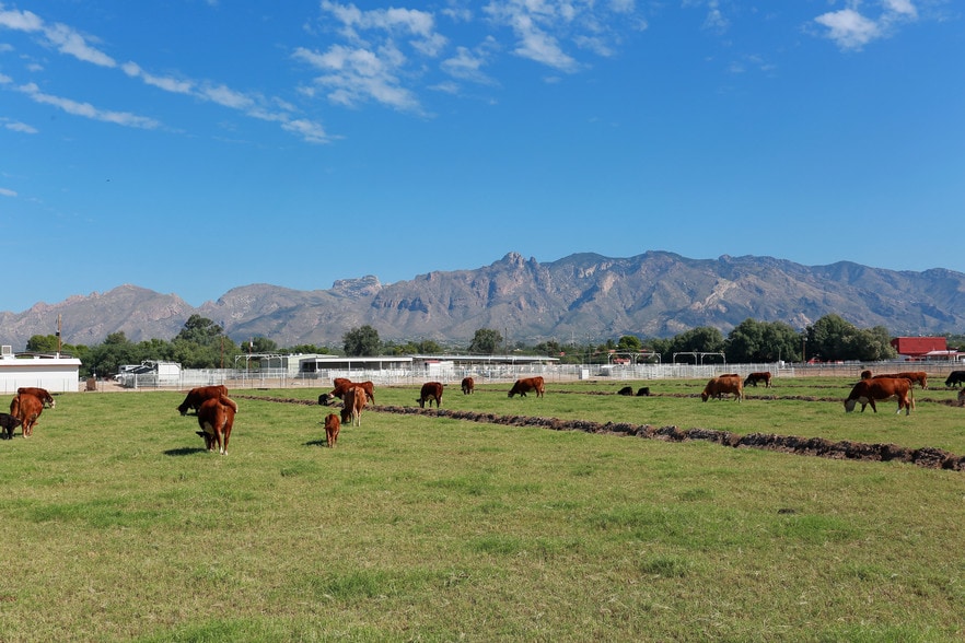 Picture of Campus Farm Tucson