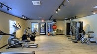 This single-level fitness room offers a dedicated space for a variety of workout routines. The interior is finished with light hardwood flooring that brightens the space and provides a clean, functional surface underfoot. A dark ceiling with adjustable track lighting runs throughout the room, directing focused illumination across the workout areas and creating a modern, energetic atmosphere.

The space is equipped with a selection of cardio machines, including a stationary bike and a stair climber, positioned along one side of the room. A multi-station strength machine is situated toward the far end, offering options for resistance-based training. A collection of exercise and stability balls in varying sizes is neatly stacked in the center of the room, adding versatility for core and balance training.

Large windows and a glass-panel door allow views into an adjacent area and invite natural light into the interior, preventing the space from feeling enclosed. The neutral wall tones complement the overall design, keeping the environment clean and focused. The layout provides ample open floor space for stretching or floor exercises, making the room practical for a range of fitness activities.