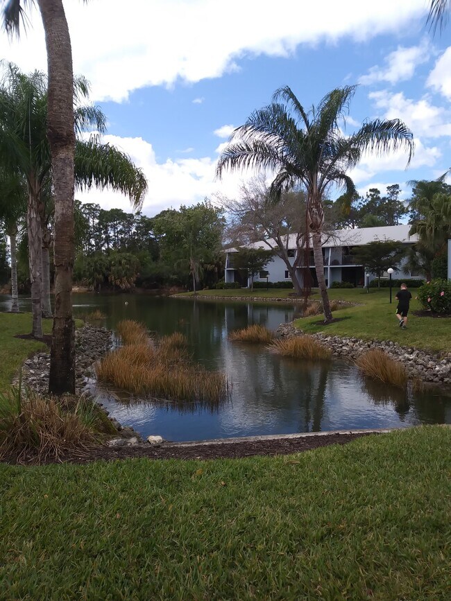 Foto del edificio - 28161 Pine Haven Way
