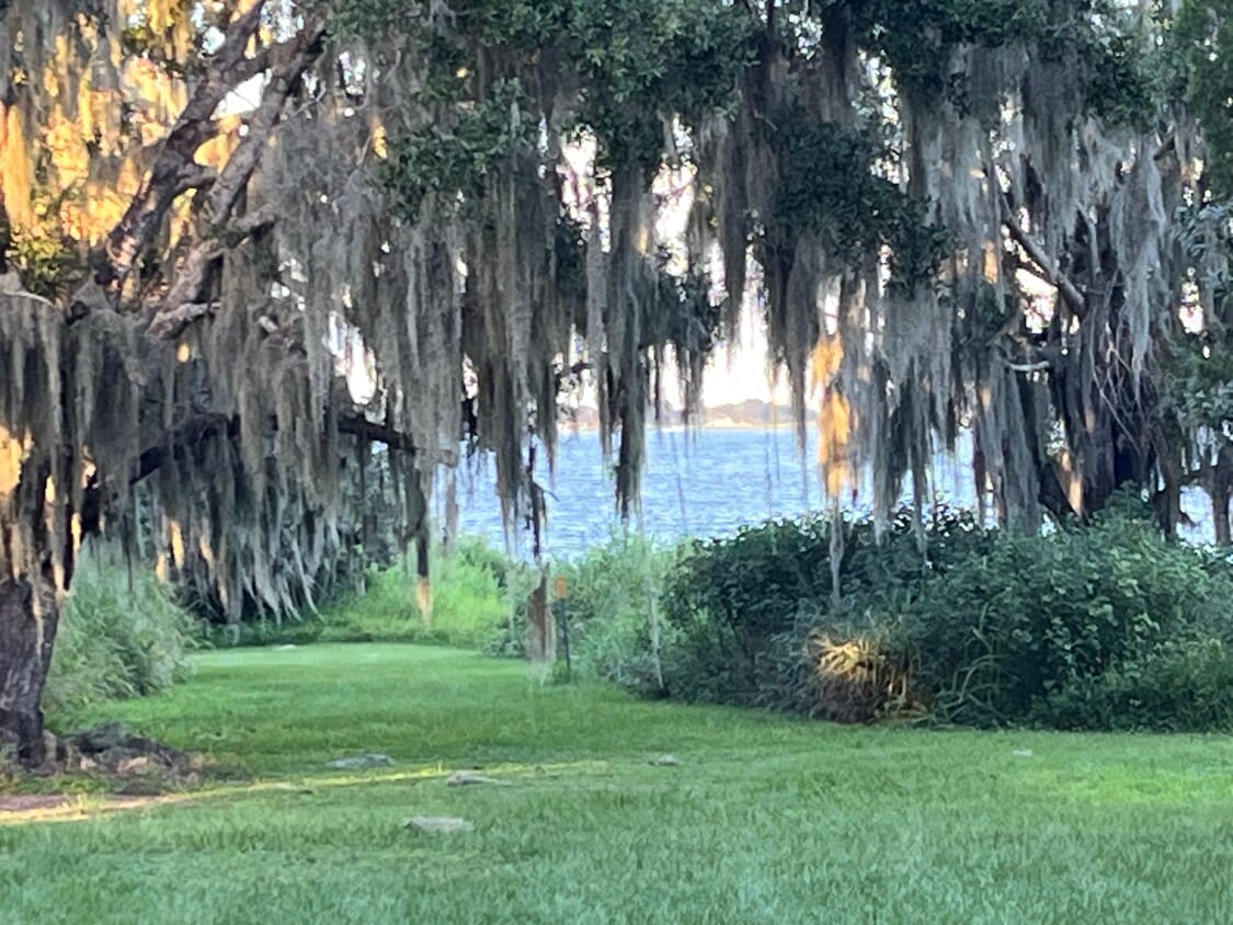 Primary Photo - 1652 Barney Bass Rd