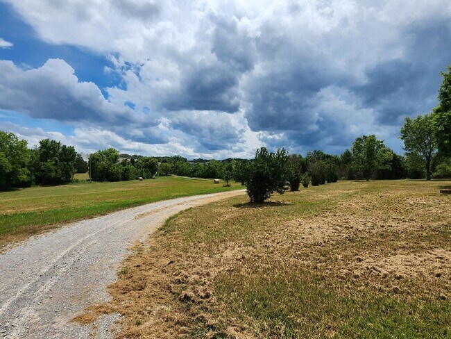 Foto del edificio - Stunner on Almost 10 Acres on Bear Creek