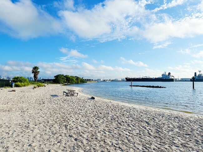 Take your dog to the beach access dog park! - Davis Islands Apartments