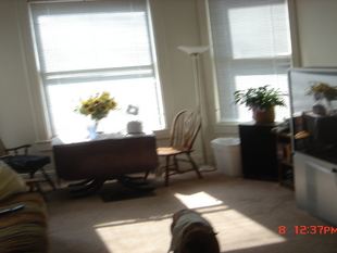Building Photo - 301 N Washington St