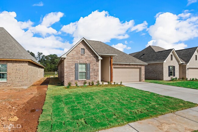 Building Photo - Newly Built Home in Willow Heights