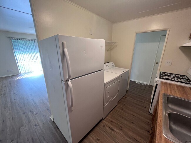 Foto del edificio - 3 Bedroom 1 Bath Close to Campus