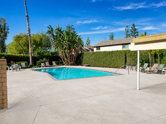 HOA community pool with lounge seating and a well-maintained outdoor area for residents to enjoy. - 339 E Taft Ave