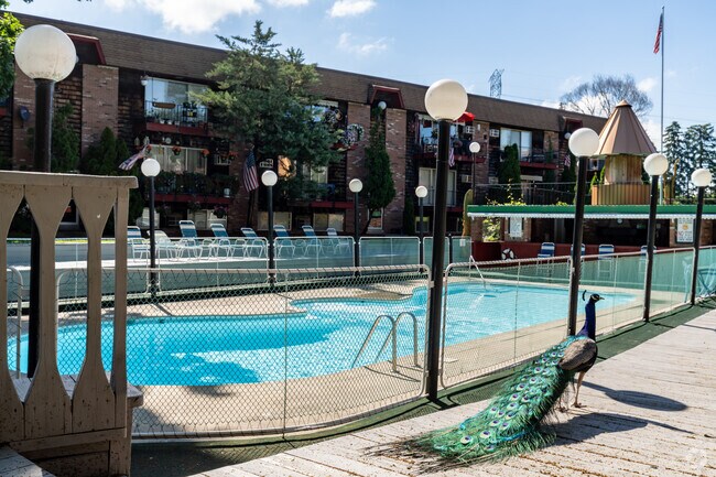Piscina con terraza - Woodside Village