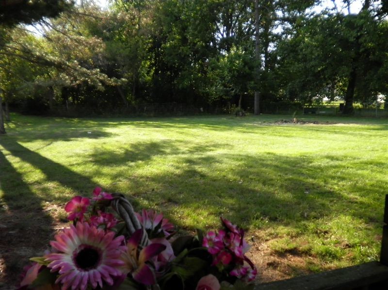 Foto del edificio - 1 br, 1 bath House - 538 9th St 538 Ninth st.