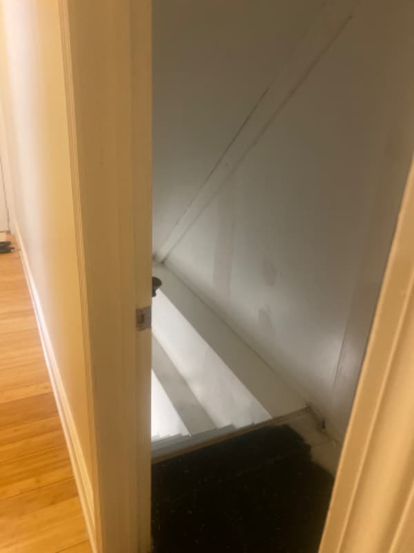 Building Photo - 145 Magnolia St