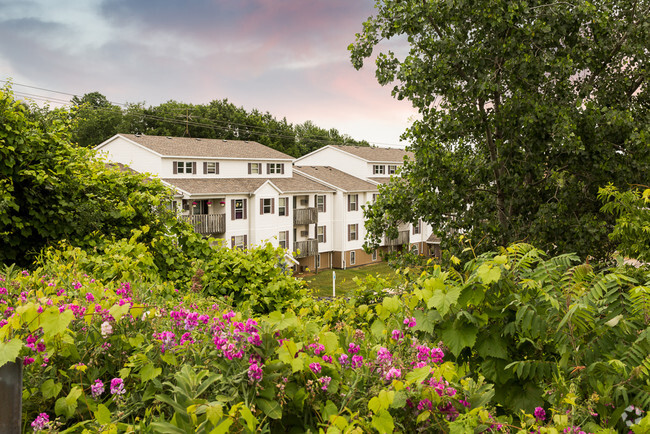 York Creek Apartments