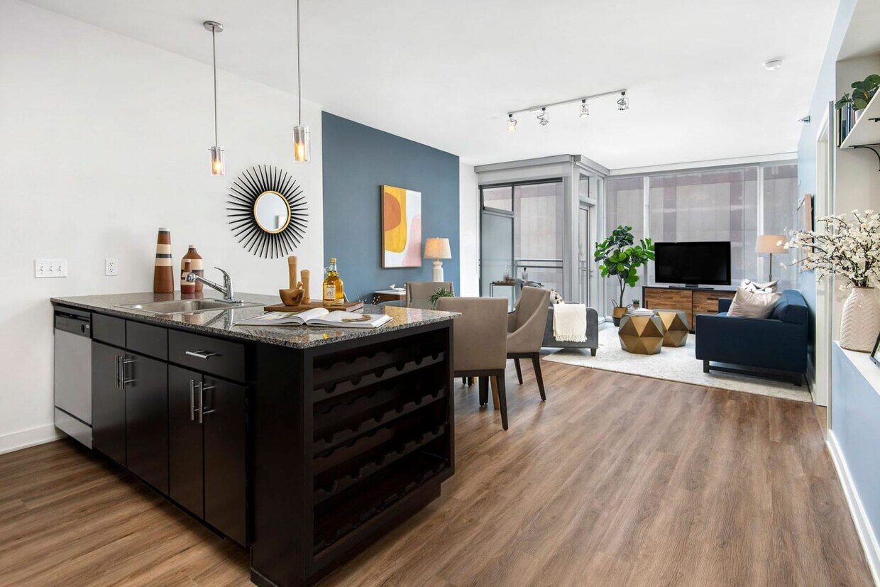 Model Unit - 210 W Kinzie St