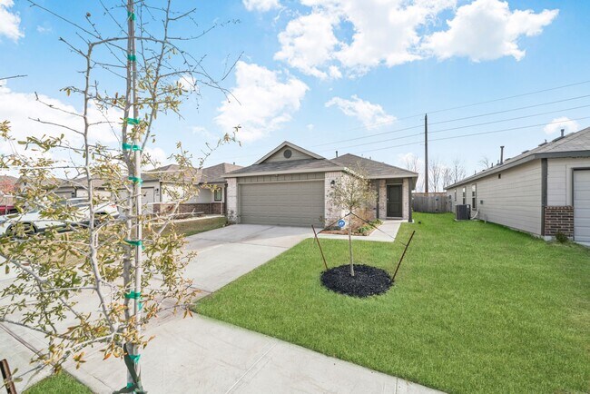 Foto del edificio - 10726 Lavender Cotton Ln