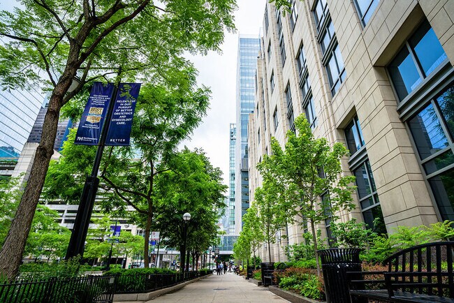 Foto del edificio - 233 E Erie St