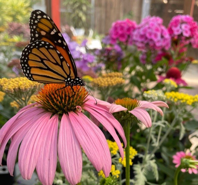 355 Main St Unit Front, Bridgeport, OH 43912 Room for Rent in