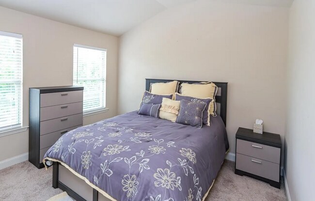 Foto del edificio - 7102 Sutter Ct