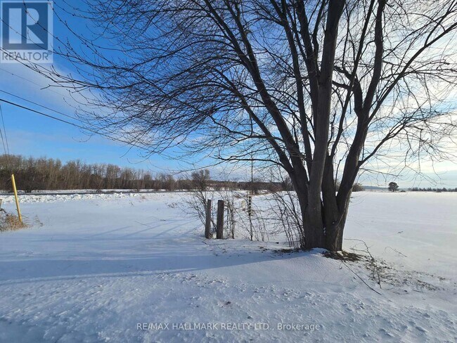 Photo du bâtiment - 22156 Leslie St