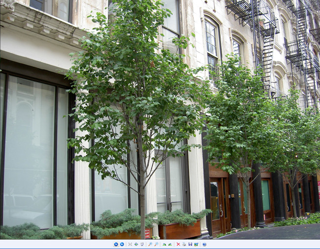 Building Photo - 46 Warren St