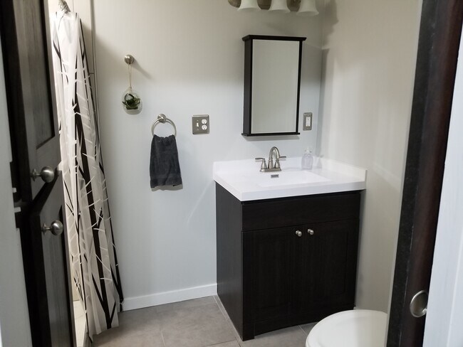 downstairs bath - 315 S Main St