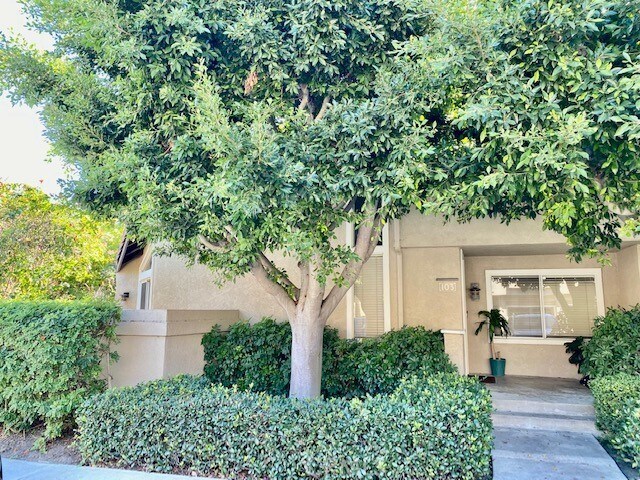 Primary Photo - 103 Stanford Ct