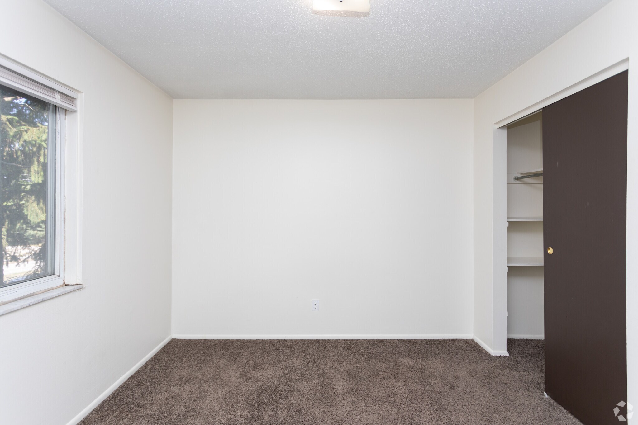The Vue @ 214 Apartments – photo 5