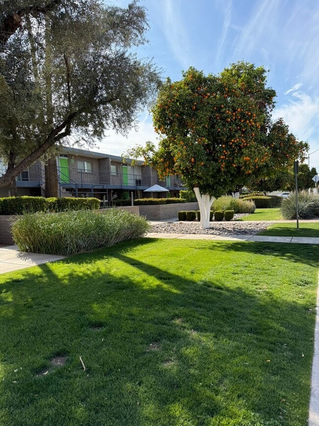 Building Photo - Modern Vintage in Old Town