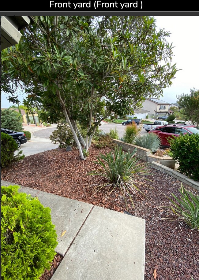 Building Photo - Rancho San Diego sunsets by the pool!