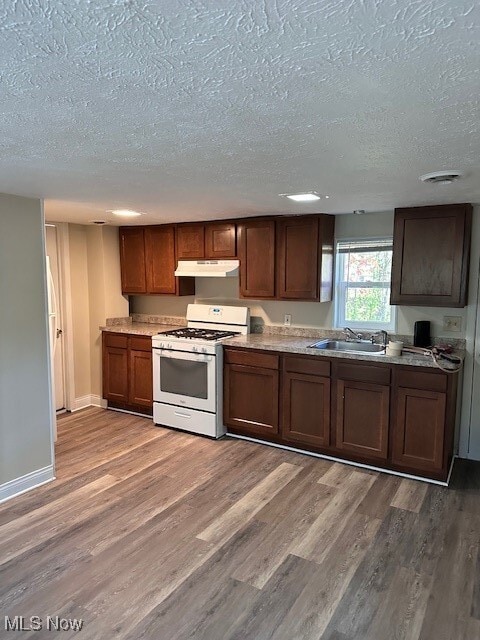 Building Photo - 3499 Dennis Ct