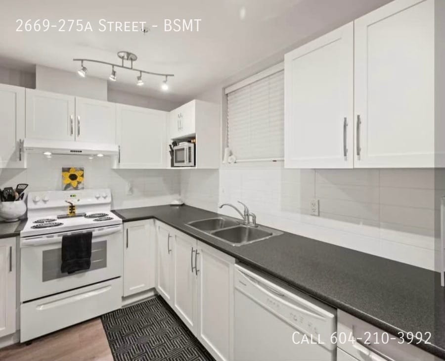 Primary Photo - Basement in Langley