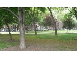  - 221 Pavonia Ave