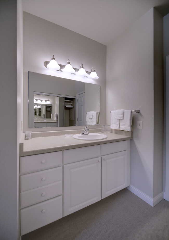 Furnished Vanity - The Apartments at Corporate Cove