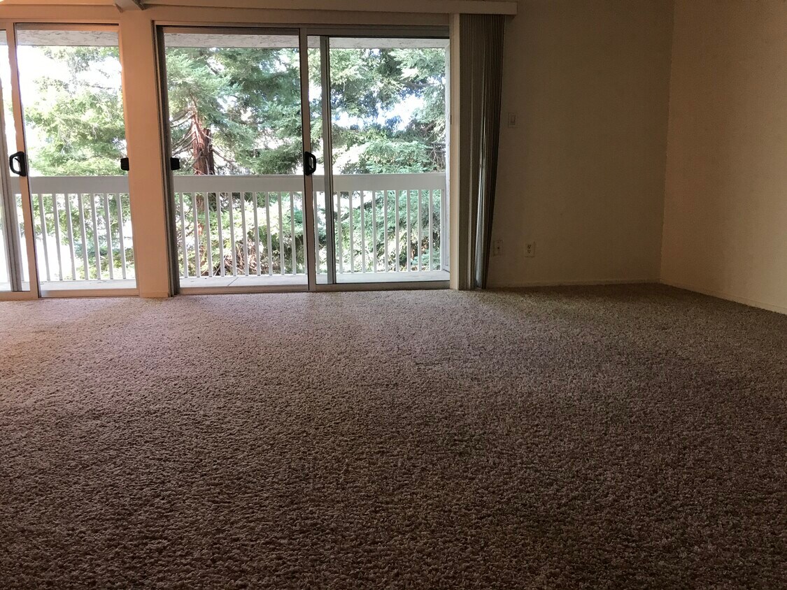 LIVING ROOM - 675 Sharon Park Dr