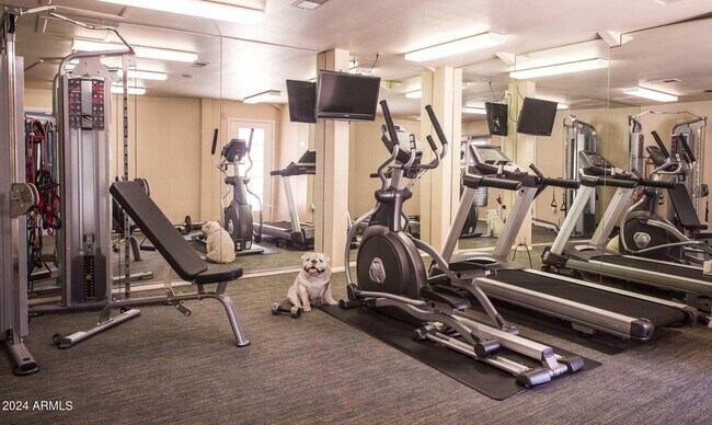 Foto del edificio - 8450 N 67th Ave