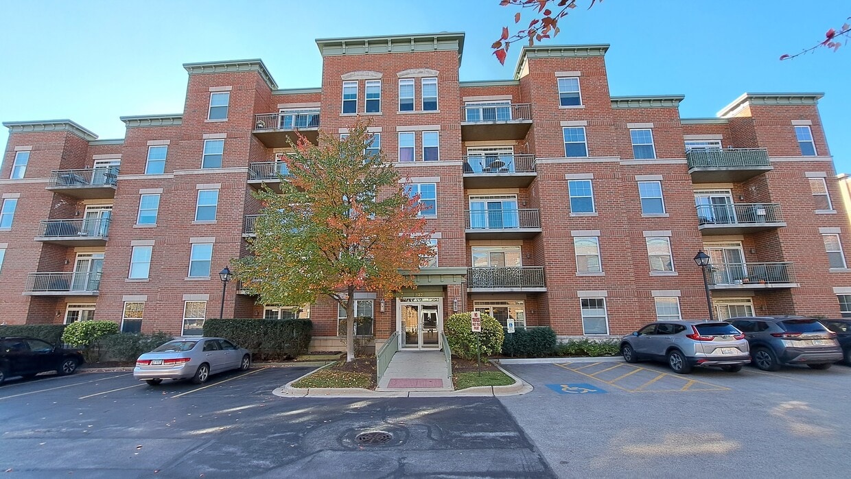 132 Johnson St Unit 302, Palatine, IL 60067 Condo for Rent in