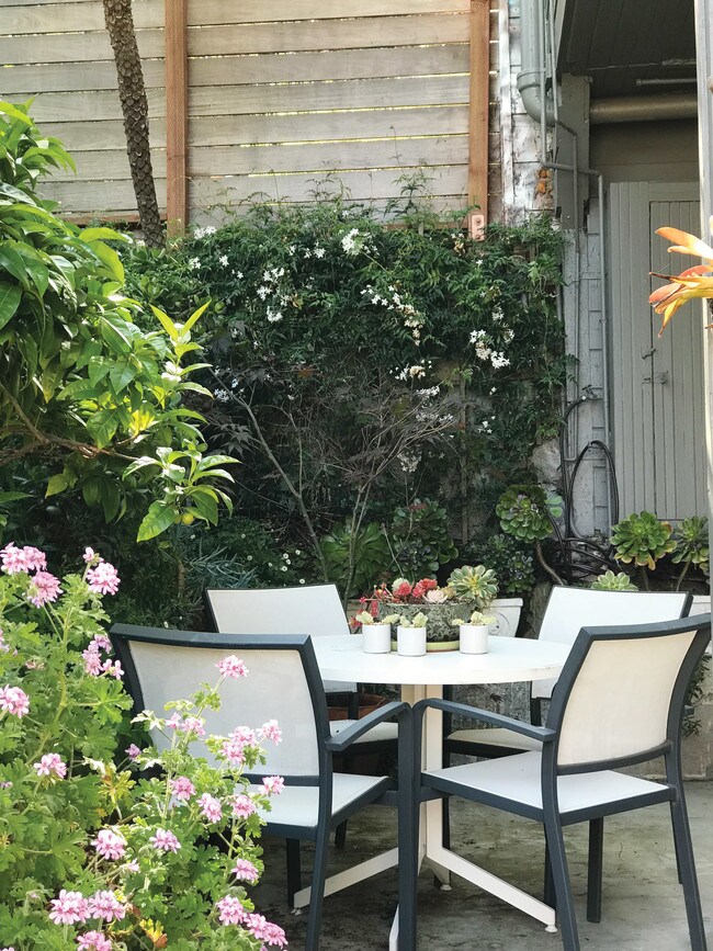 Shared patio - 521 30th St