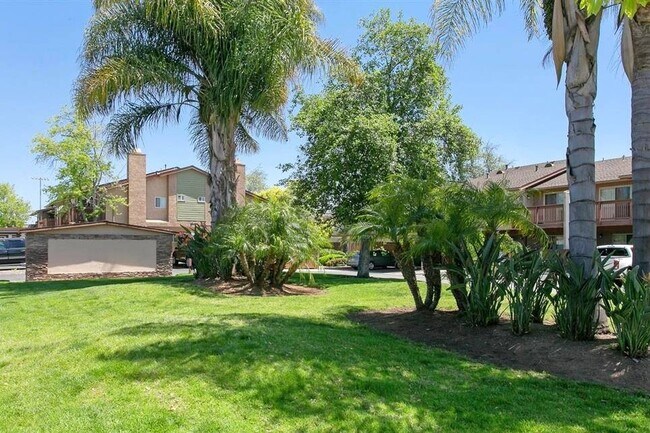 Lawn - 201 Westlake Dr