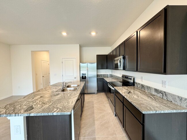 Building Photo - 33031 Tulip Petal Ln Wesley Chapel, FL 33545
