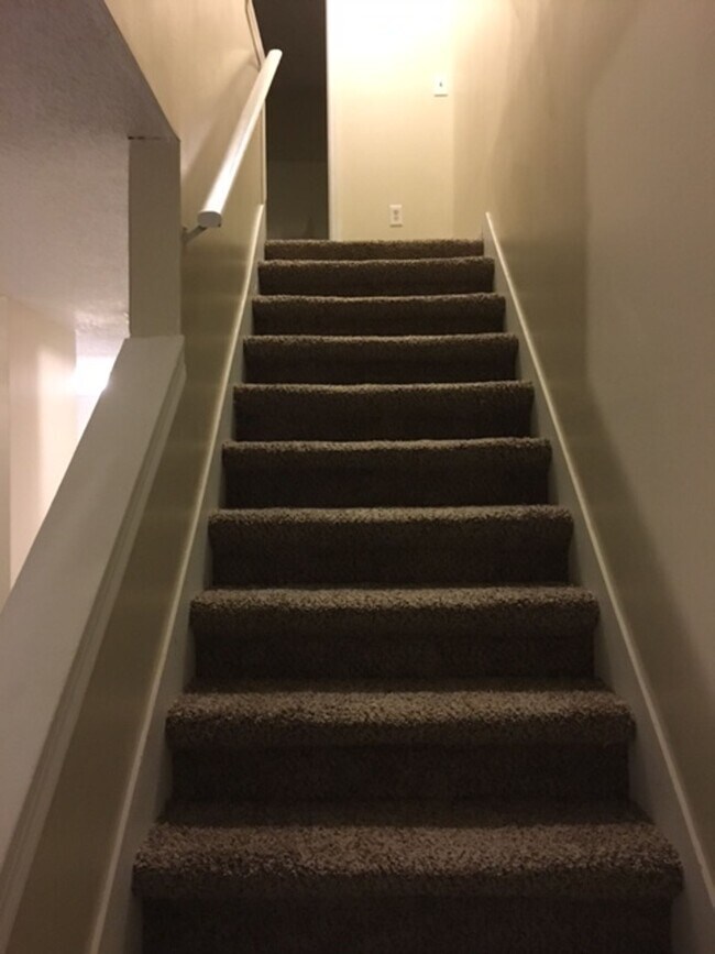 Building Photo - Newly Renovated Ria 2 bed/1.5 Apartment