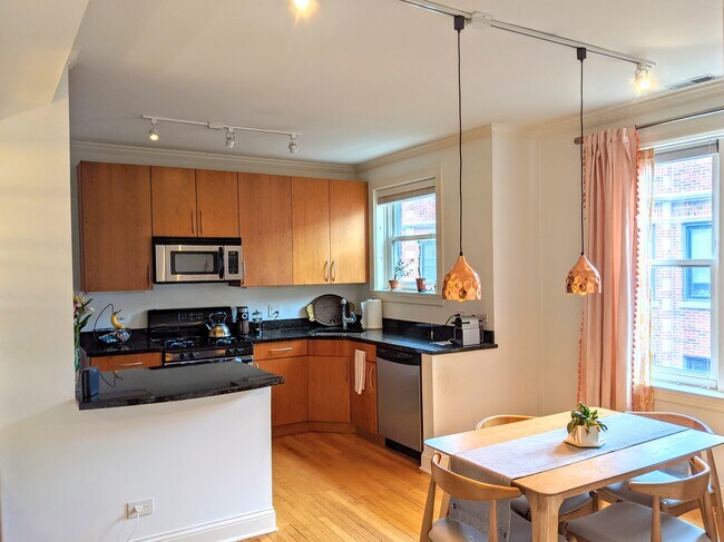 Open layout kitchen with updated track lighting - 928 W Ainslie St