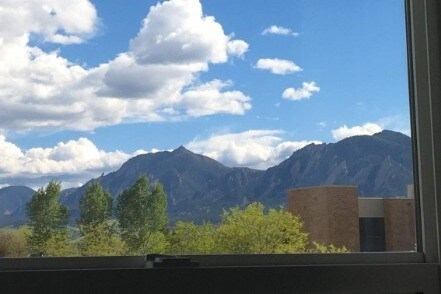 view from living area - 3671 Pinedale St