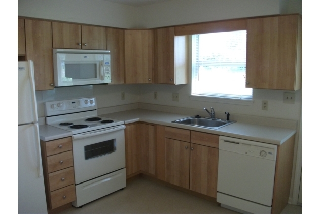 Newly Renovated Kitchen - Fully Equipped Kitchen - Meadow View Apartments