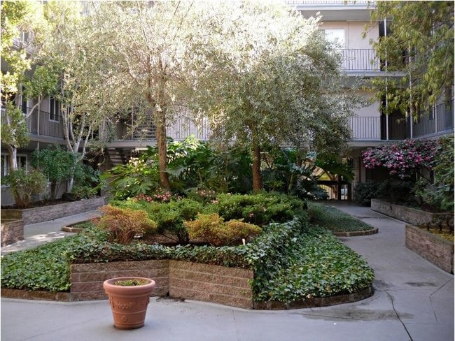 Courtyard is professionally maintained - 184 Callan Avenue