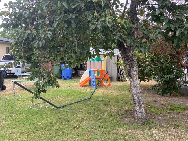 Yard - 2048 Burkett Rd