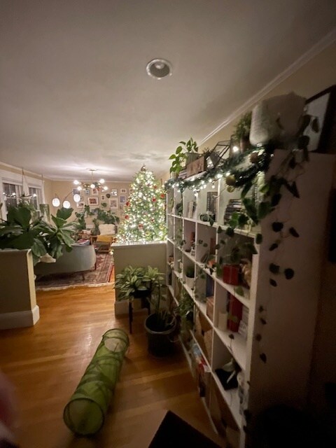 Foto del edificio - 88 Warwick Rd