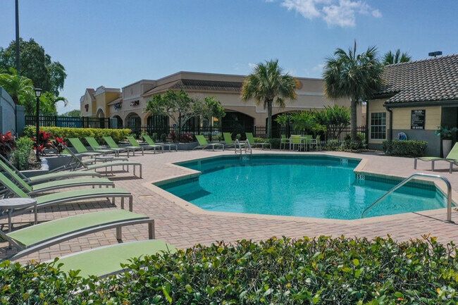 Piscina - The District at Clearwater