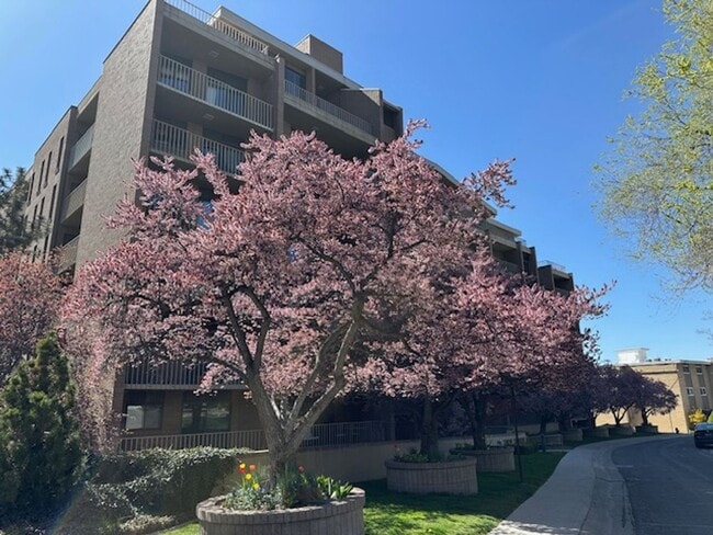 Gorgeous Penthouse in the heart of SLC!!! - Gorgeous Penthouse in the heart of SLC!!!