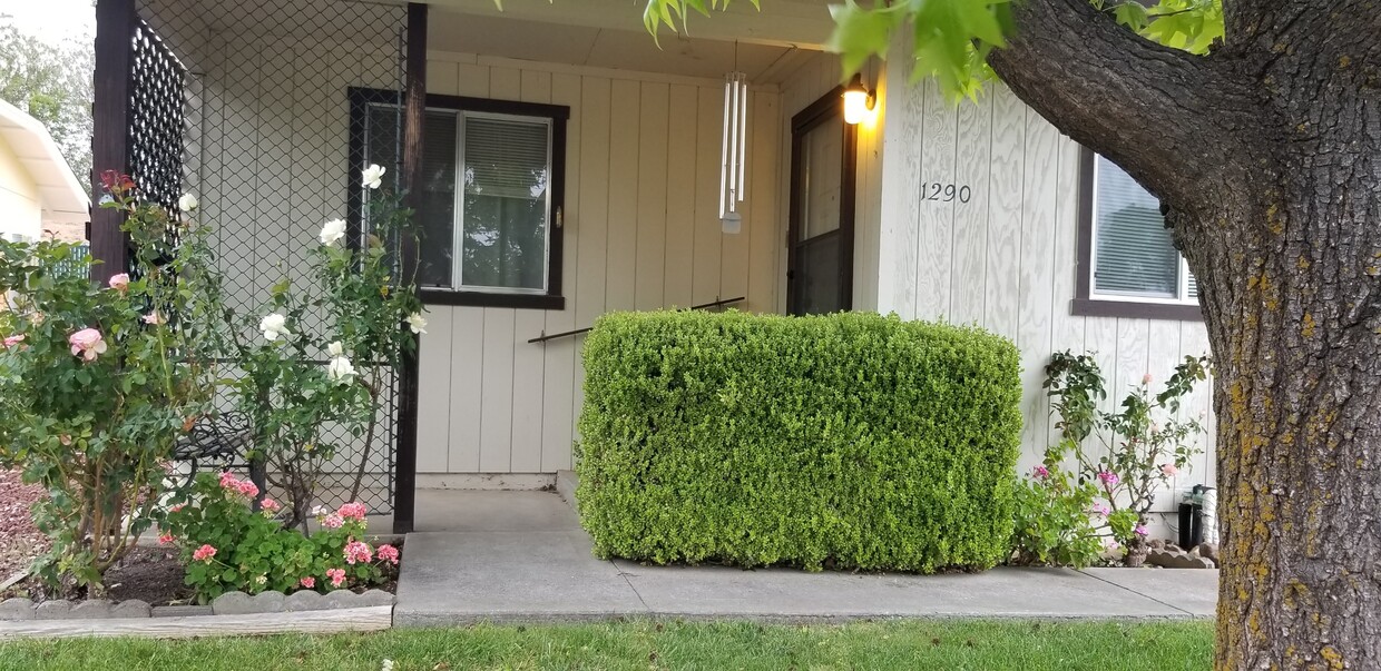 Primary Photo - 1290 Aloha St