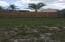 Building Photo - 222 Citrus Trail, Boynton Beach, FL 33436