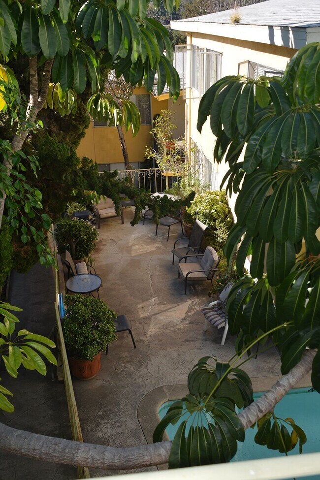 Zona verde común y piscina. - 850 Haverford Ave